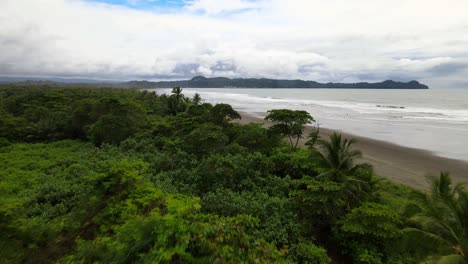 disparo de drones, vuelo sobre árboles verdes a la playa y al mar en costa rica