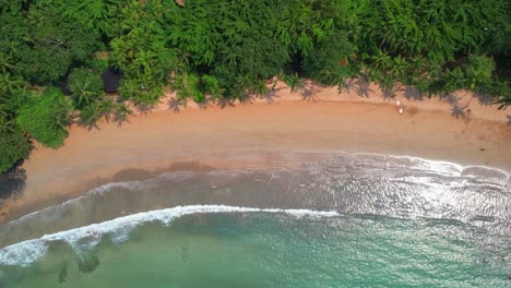 bird's eye view of the bom bom beach with people bathing at ilha do principe (prince island) sâo tomé,africa