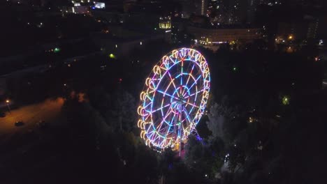 night view of illuminated ferris wheel in city park