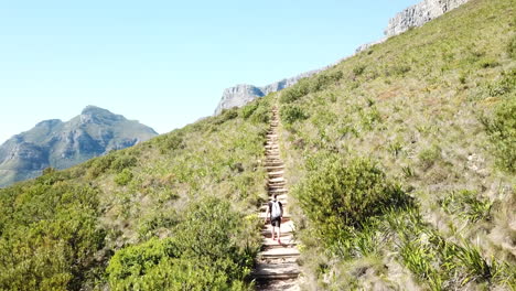 la escalera en la naturaleza