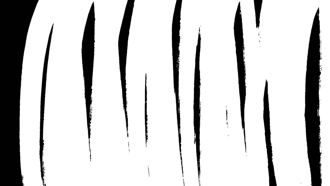 Animated White Hand-Drawn Brushstroke Lines Transition
