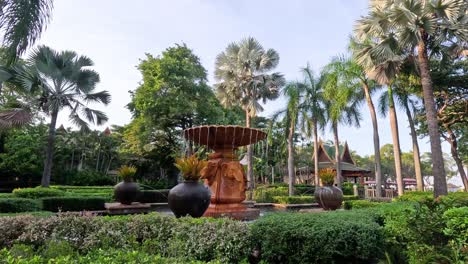 fast-forward through a serene tropical garden