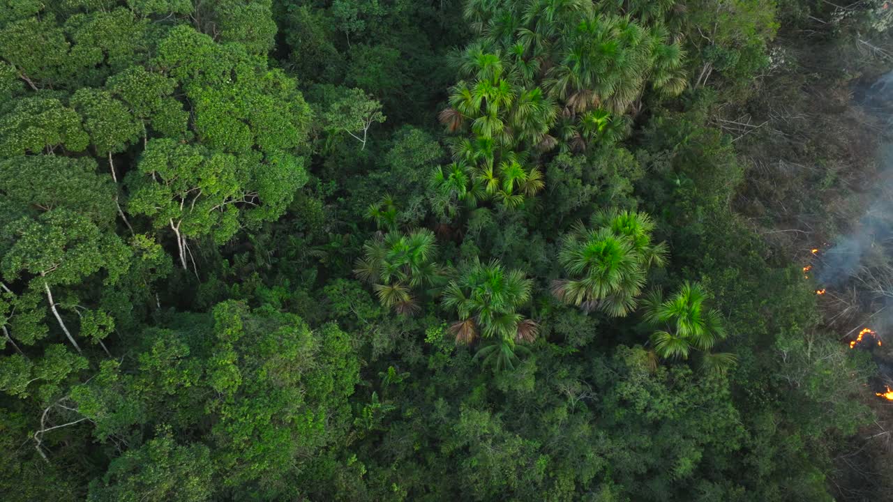 Vista laterale aerea di un drone che riprende un incendio che divampa tra la vegetazione secca vicino alla giungla amazzonica