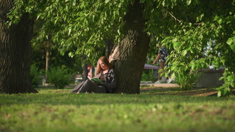 woman sitting outdoors, leaning against tree on grassy field, reading book under warm sunlight, tree leaves sway gently in breeze, background shows building and a walking woman, slightly blurred