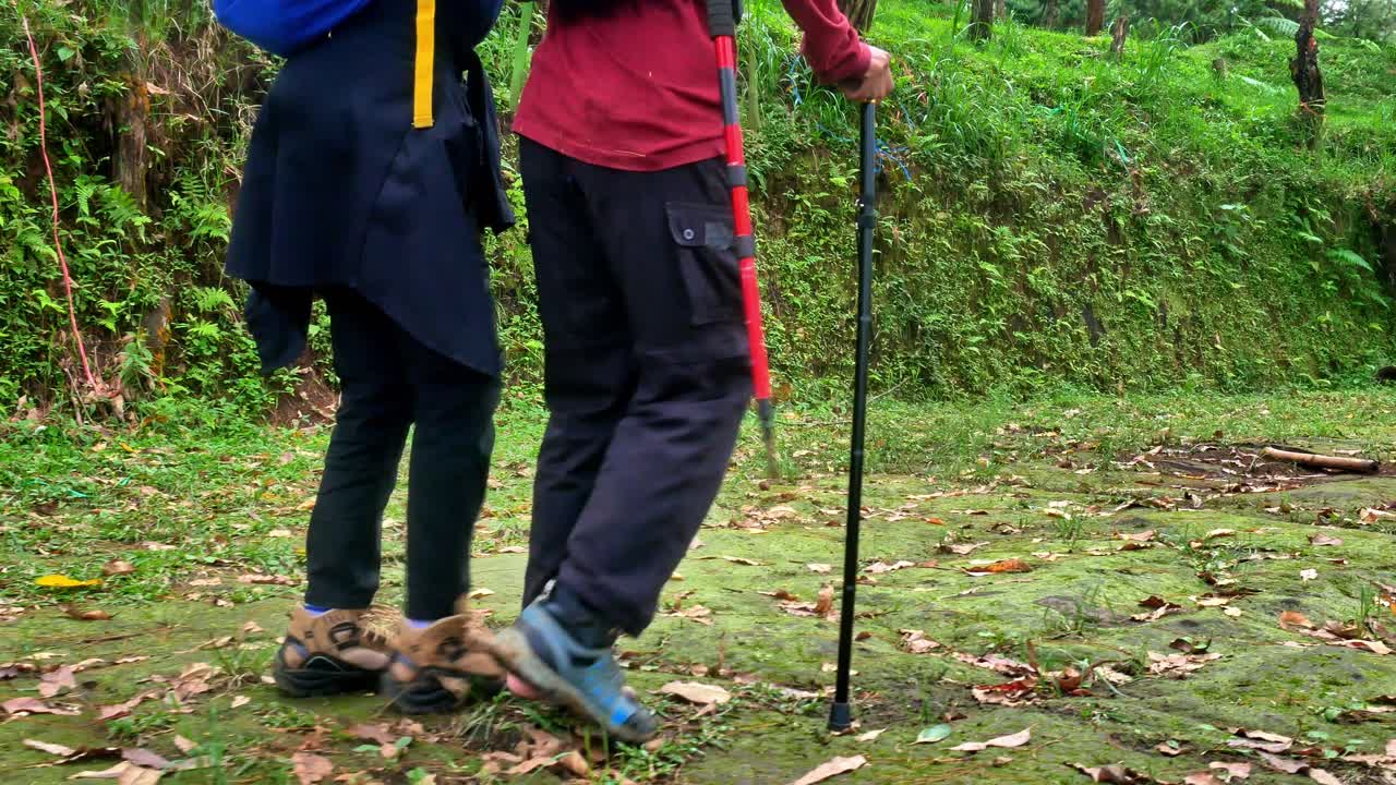 Injured adventurer is helped by his friend and a stick while tracking in the forest