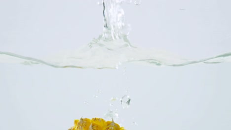 slice of pineapple falling in water 4k