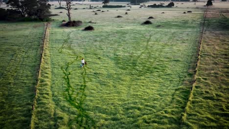 Woman-walking-her-dogs-through-a-cold-frosty-field-as-drone-de-elivates