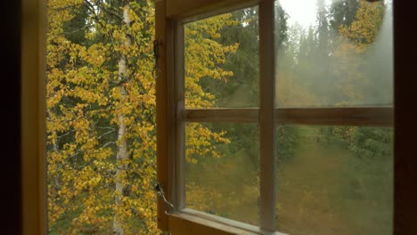 Wide push in dolly shot of misted glass window in a mysterious dark room, slowly opening revealing a beautiful golden forest in the middle of autumn