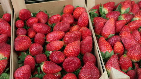 boxes with strawberries on market