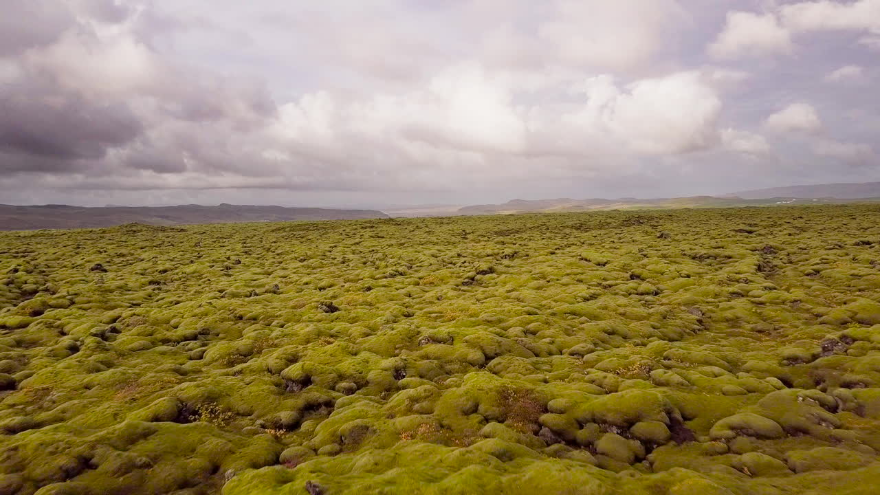 Icelandic Lava Field Covered in Moss