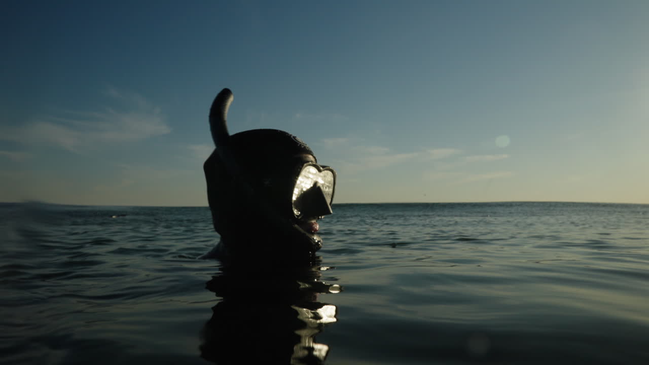 해안선을 바라보는 바물 표면의 다이버