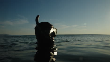 buzo en la superficie del agua del océano mirando la costa
