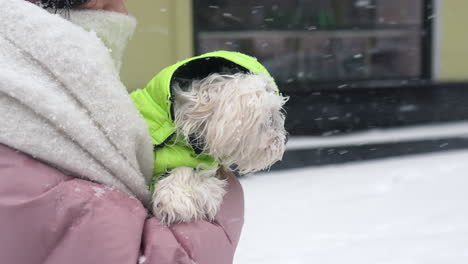 woman carrying a dog in a winter coat in the snow