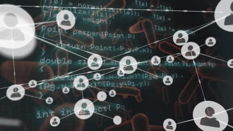 rete di icone di profilo e elaborazione dei dati contro i vasi sanguigni su sfondo blu
