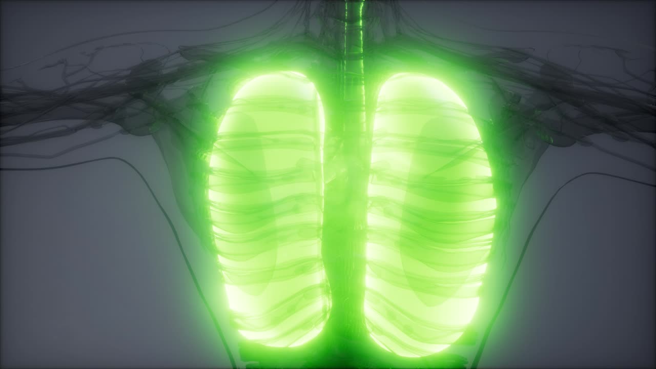 인간의 폐 방사선 검사