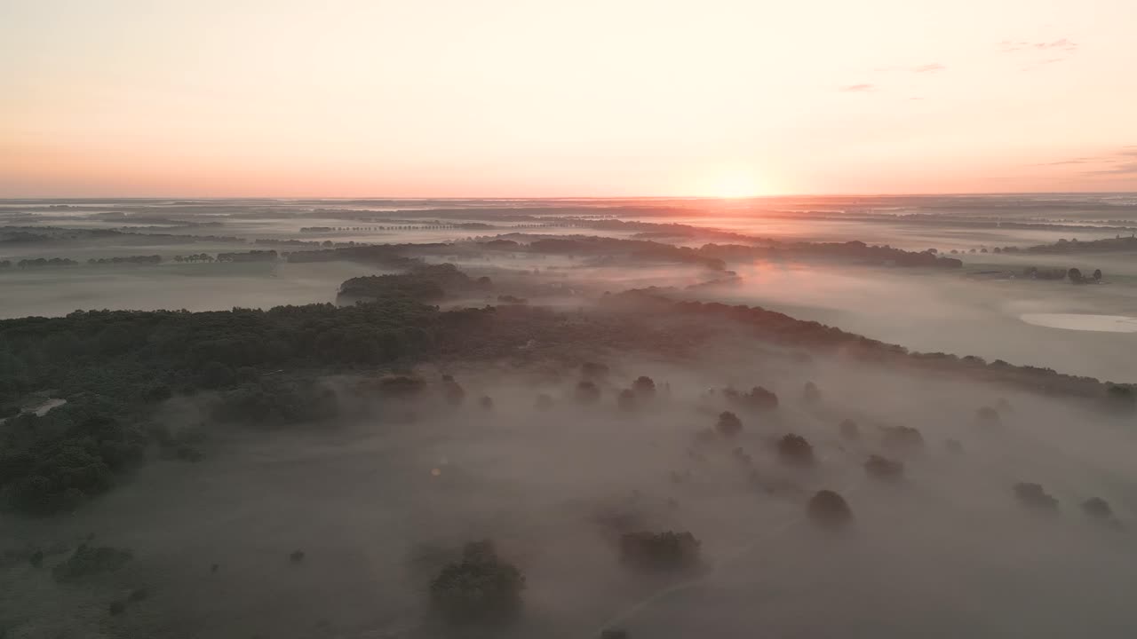 과 숲 위의 안개가 가득한 해가 뜨는 것