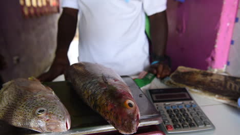 people buy fresh fish at a market butchery in kilifi, near mombasa town, kenya.