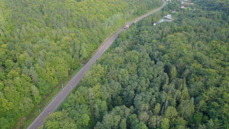 volar lejos en el bosque siempre verde con camino pavimentado en gdynia witomino, polonia