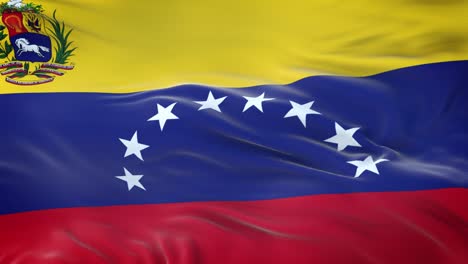 venezuela state flag waving in the wind with highly detailed fabric texture. seamless loop