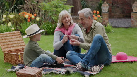 family picnic on the lawn