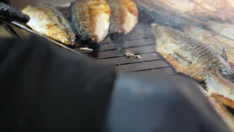 grilled mackerel being prepared