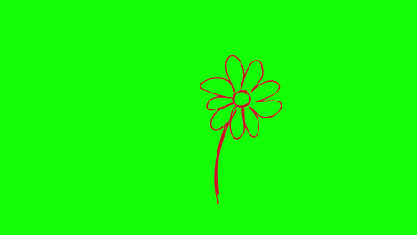 Flor-Flor-Icono-Bucle-Animación-Vídeo-Fondo-Transparente-Con-Canal-Alfa