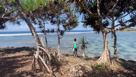 hidden gem of nusa dharma: 4k footage showcasing bali's enchanting beachfront with hala trees