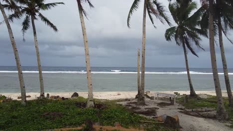 Tall-palm-trees-and-beach-fly-through-in-Philippines