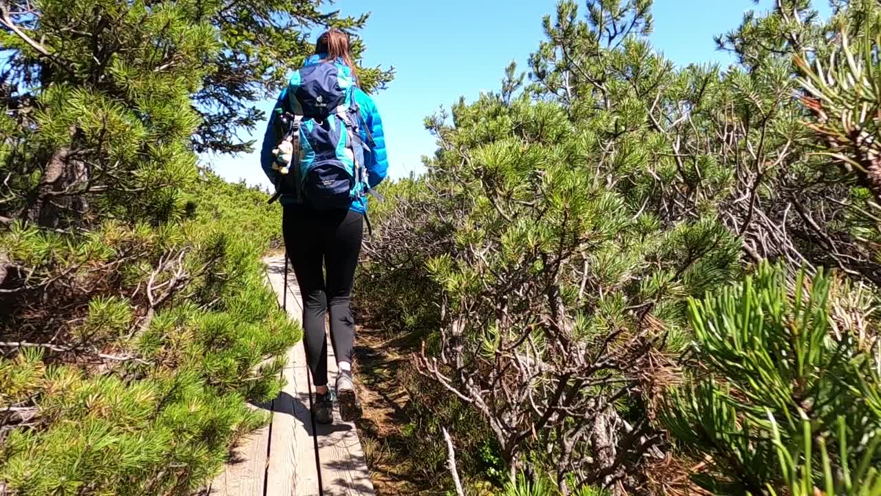 Following young tall woman wiking on wooden trail through forest, bluw sky in background - slow motion