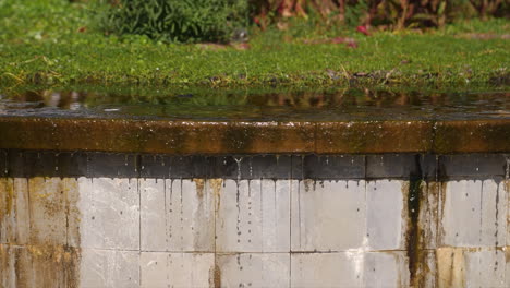 Kleiner-Und-Entspannender-Wasserfall-In-Einem-Fischteich-Mit-Gras-Und-Pflanzen-Darüber---Zeitlupe