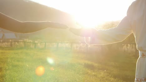 couple holding hands at sunset
