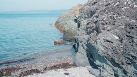 track out from water at shorefront