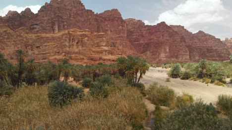 vistas aéreas del valle de wadi al disah en la región de tabuk de arabia saudita