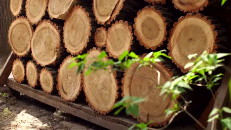 sliced tree trunks stacked on top of each other.