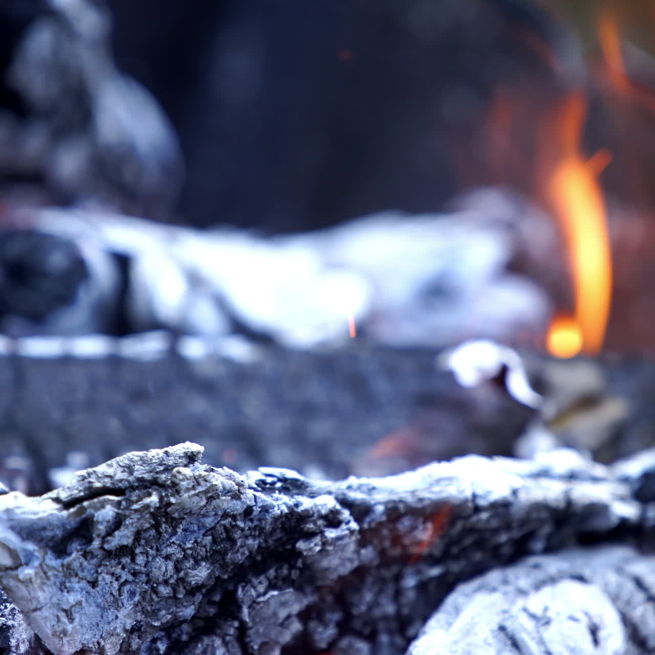 Burning Wood. Burning fire in a home fireplace