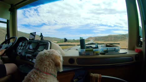 punto de vista del pasajero en un vehículo recreativo de clase grande mientras conduce a través de las tierras altas de okanogan del estado central norte de washington con un perro labradoodle en primer plano