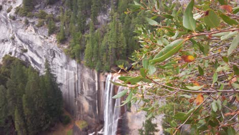 slow panning shot through foliage and then racking to a wide shot high above vernal falls