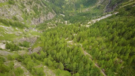 natural path in a green valley in the swiss alps