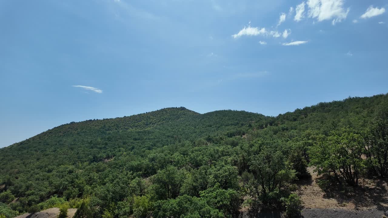 푸른 하늘과  구름이 있는 크리미아의 초록색 숲이 인 산맥 위의 은 날