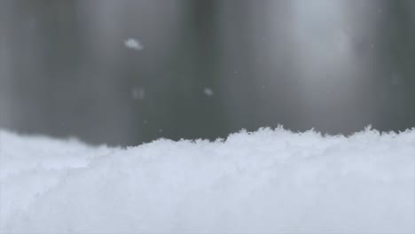 slow motion of snow flakes falling snowy winter