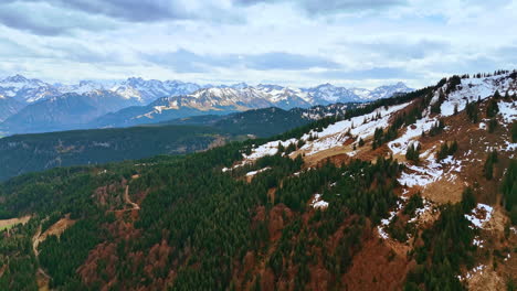 evergreen pine trees covering the mountains with some snow on the slopes. splendid rocky landscape of bavaria, germany. aerial view.