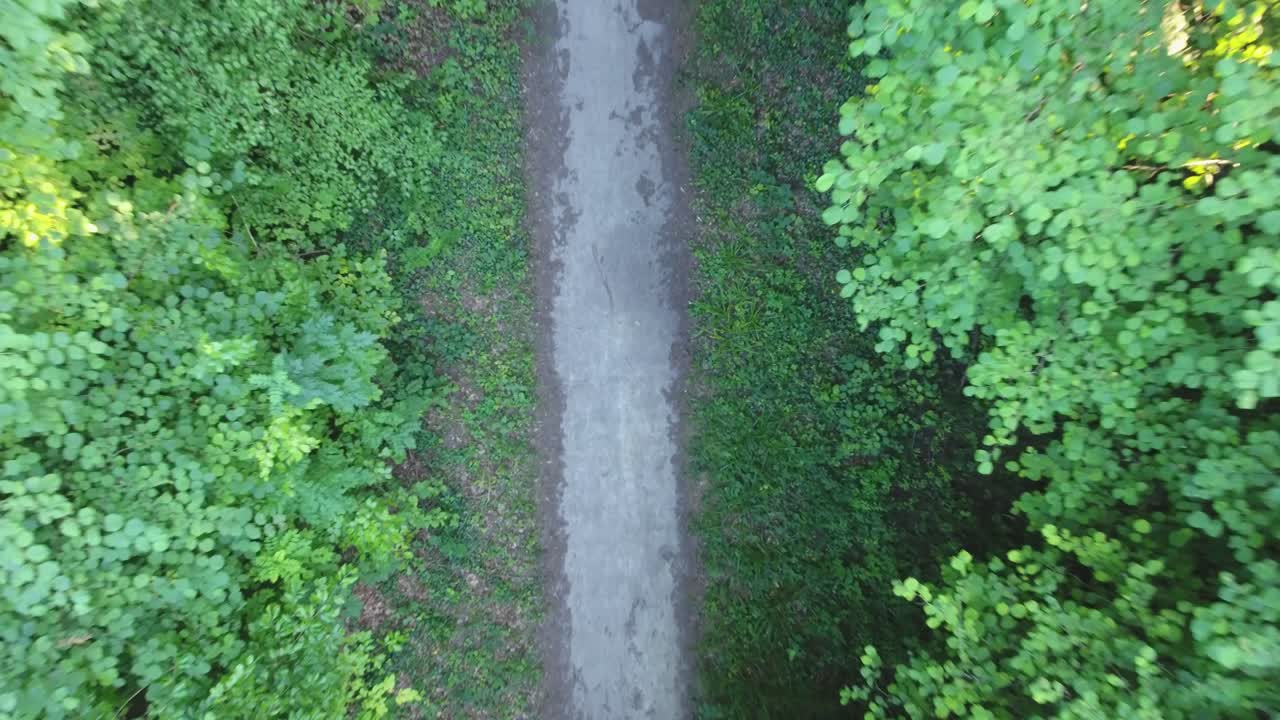 vista verticale aerea di un sentiero di foresta di legno duro in francia.