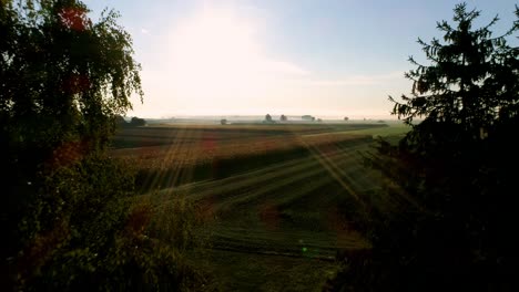 beautiful footage of a field