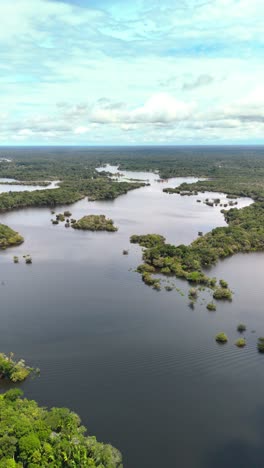 vertical: drone pans 360 degrees over amazon jungle with rivers on sunny day in brazil