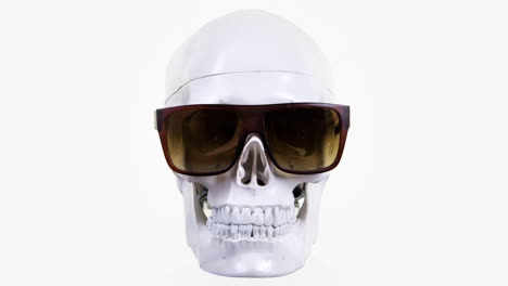 human skull with sunglasses