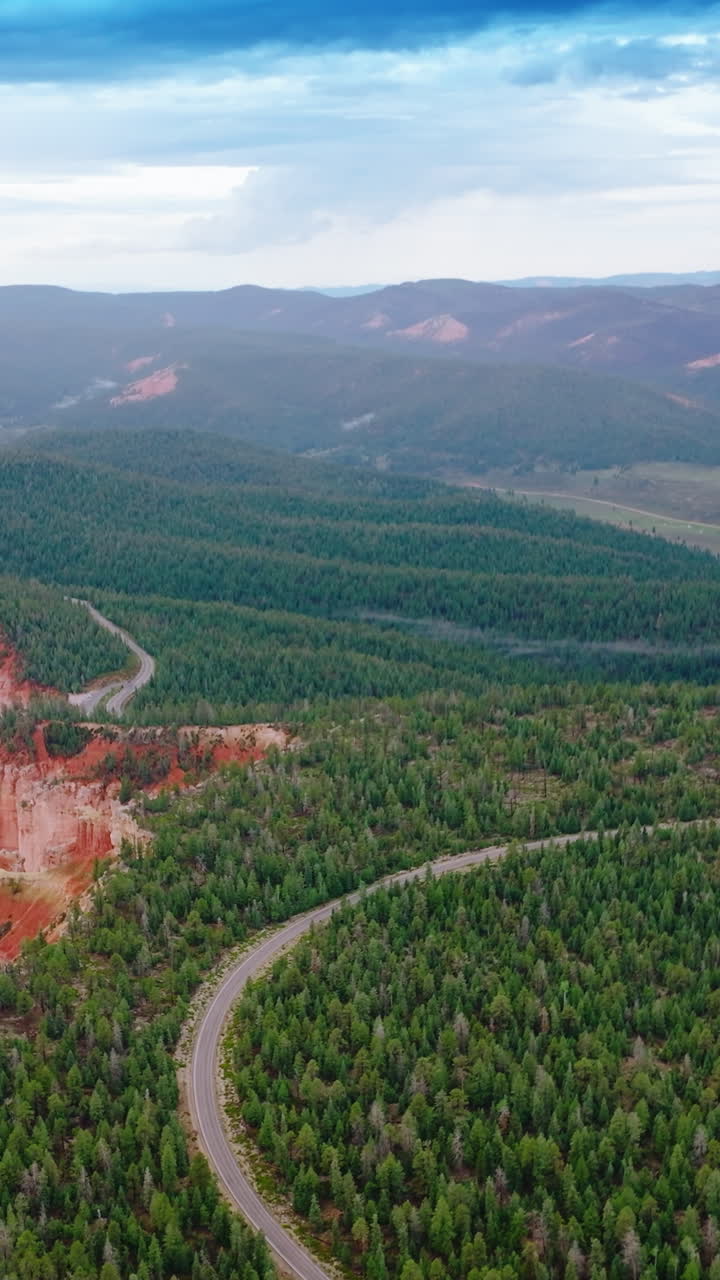 Lovely picture of pine woods covering the mountains in Zion National park, Utah, USA. Road passing through the forest on canyons. Aerial view. Vertical video