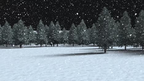 Animation-of-multiple-fir-trees-with-snow-falling-on-black-background