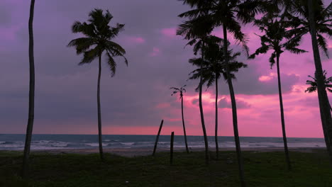 Atardecer-Nublado-En-Una-Playa-Con-Cocoteros