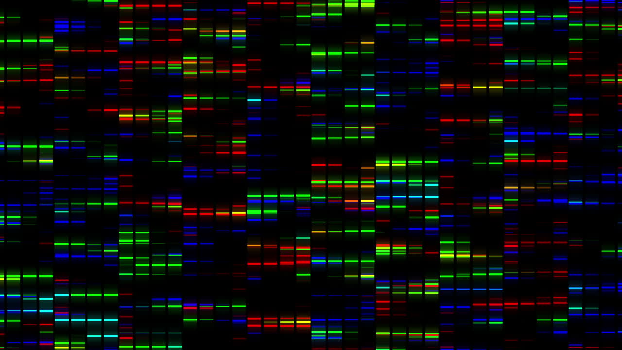 animación de cuadrados de colores que se mueven rápidamente