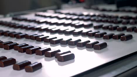 postres en la línea de producción en la fábrica de dulces.